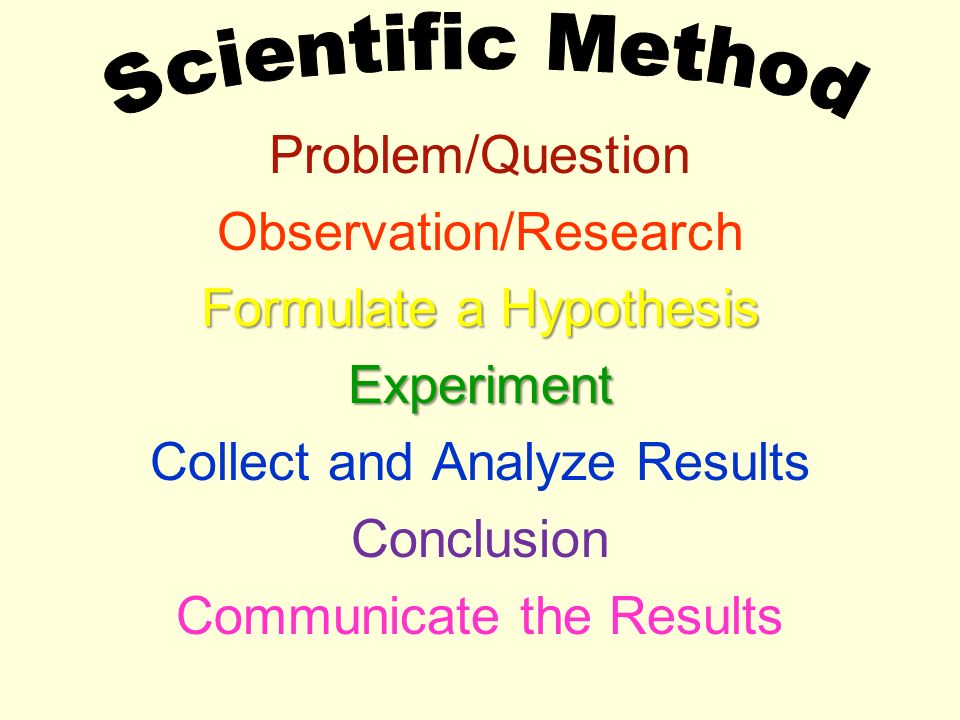 Scientific Method Questions